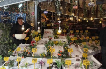 Büryan şehrinde balık tercihi 