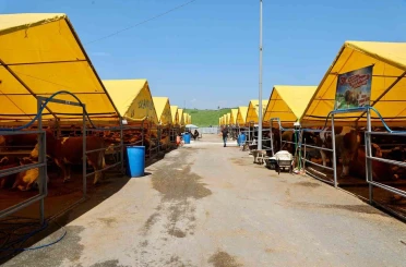 Büyükçekmece Belediyesi kurban satış ve kesim tesisi hizmete hazır 