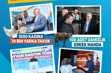 Büyükşehir ile Kayseri, hayvancılıkta yükselişte 