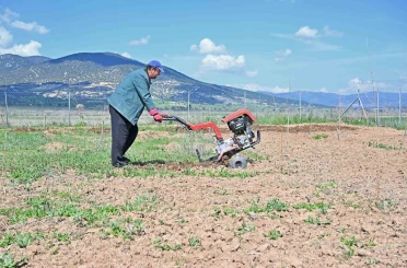 Büyükşehir ipek böceği yetiştiriciliğini yaygınlaştırıyor 