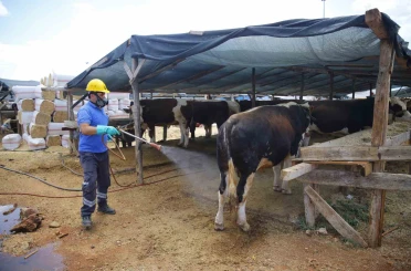 Büyükşehirden 6 farklı noktada ücretsiz kurban kesim hizmeti 