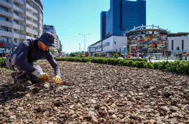 Büyükşehirden kuraklığa karşı sürdürülebilir peyzaj 