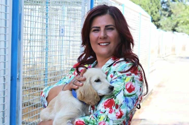 Büyükşehir’den sokak hayvanları için 244 bin metrekarelik yaşam alanı 