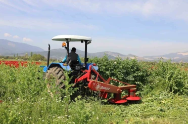 Büyükşehir’den üreticilere ücretsiz yem bitkisi tohumu desteği 