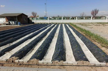 Büyükşehirin Doğal Ürünler Bahçesi ve Pazarı’nda yeni sezon hazırlığı 
