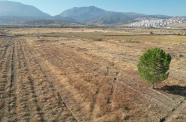 BYD’nin Manisa’daki fabrika sahasında sessizlik sürüyor 