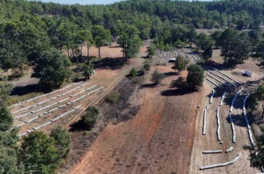 Çam balında rekolte sevinci 