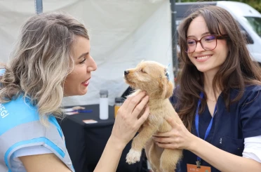 Can dostlar yeni yuvalarına kavuştu 