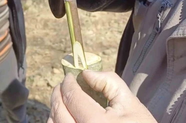 Çanakkale’de ‘Aşı Akademisi’ 