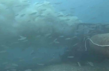 Çanakkale’de boğaza dökülen atık su ile karşılaşan dalgıç, o anları su altı kamerasıyla kaydetti 