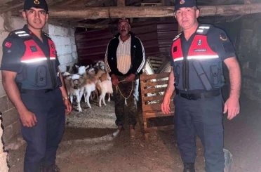 Çanakkale’de kaybolan 15 küçükbaş hayvan jandarma ekiplerince bulunarak sahibine teslim edildi 