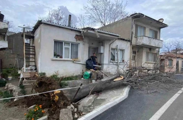 Çanakkale’de lodos fırtınasında devrilen ağaç evin çatısına zarar verdi 