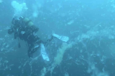 Çanakkale’de müsilaj alarmı 