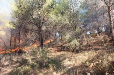 Çanakkale’de ormanlık alanda çıkan yangın kontrol altına alındı 