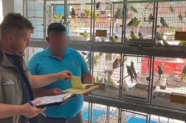 Çanakkale’de petshop denetimi 