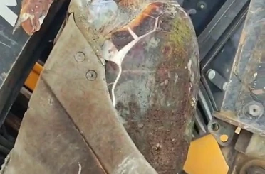 Çanakkale’de sahile ölü caretta caretta vurdu 