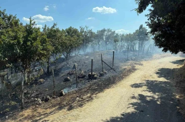 Çanakkale’de tarım arazisinde çıkan yangın kontrol altına alındı 