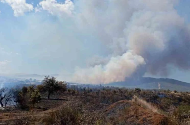 Çanakkale’de tarım arazisinde yangın 