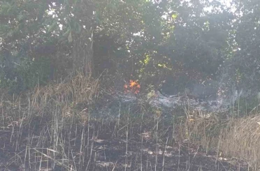 Çan’da tarla yangınında 2 ekili alan kül oldu 