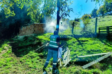 Canik’te kahverengi kokarca ile mücadele 