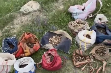 Çankırı’da izinsiz salep toplayan 10 kişiye 6 milyon 992 bin TL ceza 