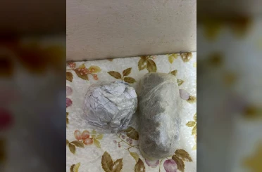 Çapkanlar Suç Örgütü’ne yeni operasyon: 24 şahıs yakalandı 