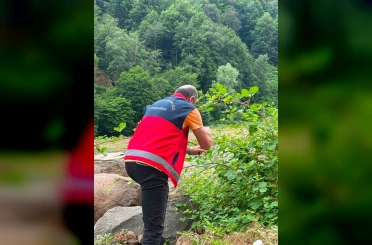 Çarşamba Ovası’nda samuray arıcığı salındı 
