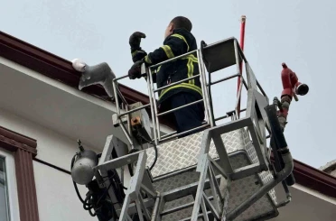 Çatıda sıkışan martıyı itfaiye kurtardı 