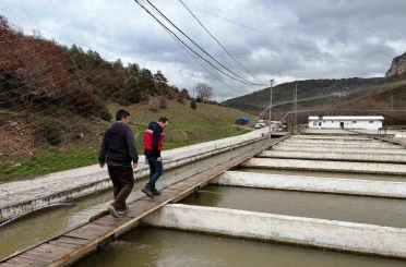 Çavdarhisar’da su ürünleri üretim tesislerinde denetim 