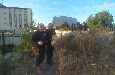 Çaya düşen engelli kediyi itfaiye kurtardı 