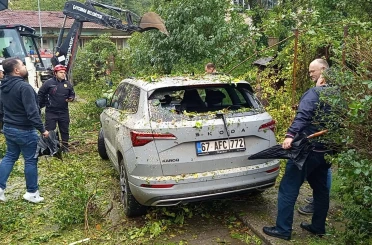 Çaycuma’da park halindeki otomobilin üzerine ağaç devrildi 