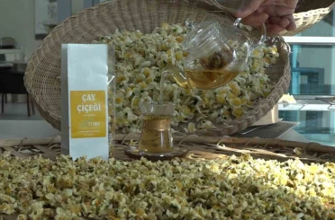 Çayın yeni ürünü ‘Çay çiçeği çayı’ 6 bin TL’den satılıyor 