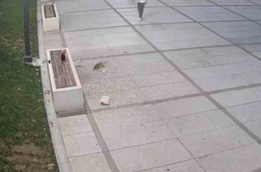 Çekirdek keyfi pahalıya patladı 