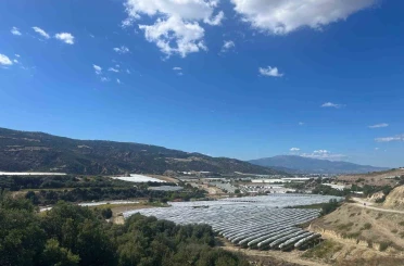 Çekirdeksiz üzümler koruma altında 