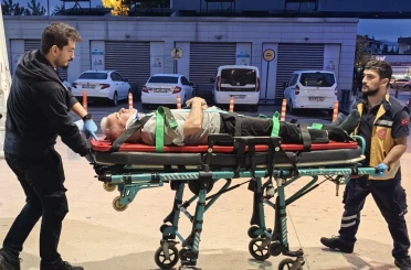 Ceviz ağacından düşen adam ağır yaralandı 