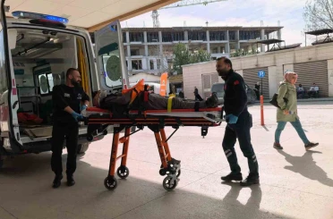 Ceviz ağacından düşen yaşlı adam ağır yaralandı 