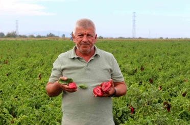 Çiftçilerden çağrı: "Üretim maliyetleri baskılanamaz hale geldi" 