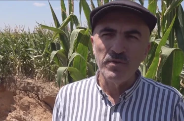 Çiftçinin Başı “Tüccar Dolandırıcılarla” Dertte