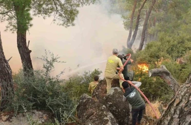 Çine yangınına müdahale ikinci günde sürüyor 