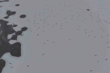 Cip Baraj Gölü buz tuttu 