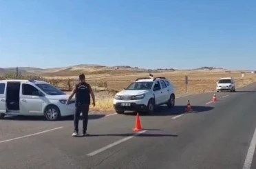 Cips kolisinden binlerce paket kaçak sigara çıktı 