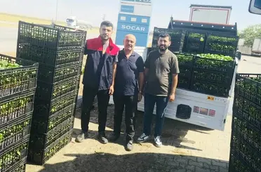 Cizre’de çiftçilere yüzde 75 hibeli fide desteği
