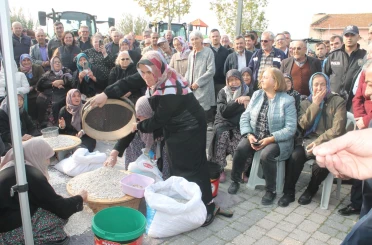 Coğrafi işaretli Kazak fasulyesinde ilk hasat festivali yapıldı 