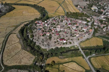 Coğrafi işaretli Tosya pirincinde susuzluk sebebiyle istenilen rekolteye ulaşılamadı 