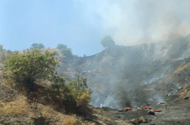 Çöp alanından sıçrayan ateş ormanlık alanı yaktı 