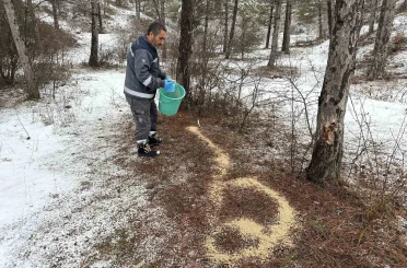 Çorum Belediyesi yaban hayvanlarını unutmadı 