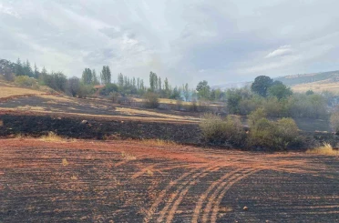 Çorum’da arazi yangını: 50 dönüm tarla ve 15 dönüm ağaçlık alan zarar gördü 