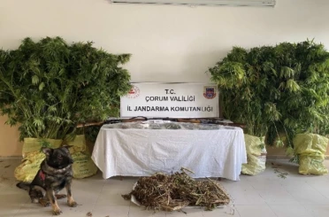 Çorum’da jandarmadan uyuşturucu tacirlerine operasyon: 2 tutuklama 