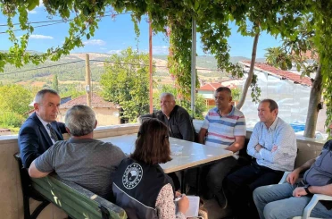 Çukurören biberine yakın ilgi 