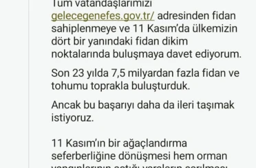 Cumhurbaşkanı Erdoğan’dan 11 Kasım Milli Ağaçlandırma Günü mesajı 